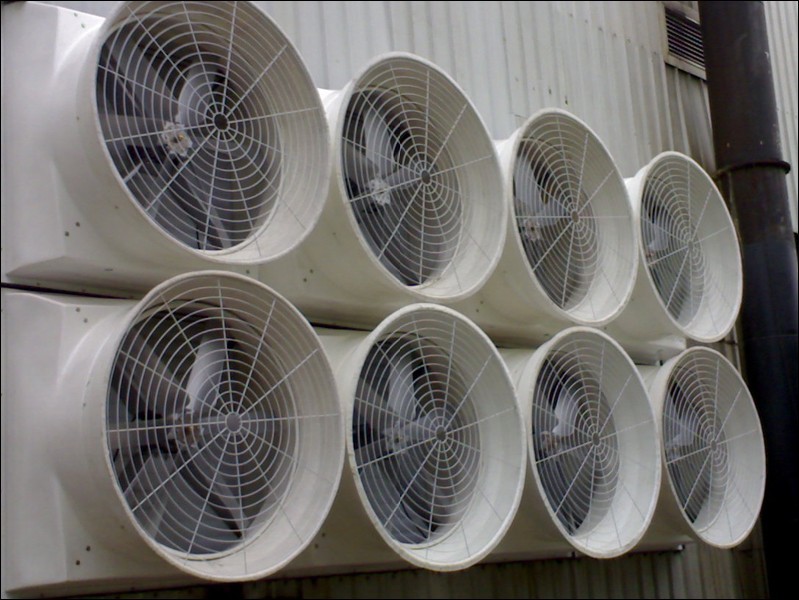 Suction fan installed in the rubber plant